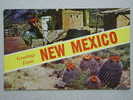 New Mexico - Other & Unclassified