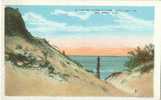 USA – United States – A Typical Dunes Picture, Gary Ind, The Steel City – Early 1900s Unused Postcard [P3137] - Gary