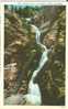 ]USA – United States –  Seven Falls, Cheyenne Canon Colorado Early 1900s Unused Postcard [P3171] - Colorado Springs