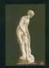 31883 Art Nude FALKONET - Bathed VENUS - BADENDE VENUS Statue Pc G.K.V.B.  127 - Sculture