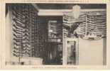 Claremore OK Oklahoma, Mason Hotel Coffee Shop Gun Collection, Interior View, C1940s Vintage Postcard - Other & Unclassified