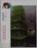 Guanyinge Temple Buddhism Pagoda,China 2005 Jinzhou Tourism Advertising Pre-stamped Card - Boeddhisme