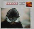 Francois's Leaf Monkey,endangered Species,China 2001 Panjin Protect Wildlife Animals Advert Pre-stamped Card - Affen