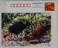 Himalayan Monal Pheasant,endangered Species,China 2001 Panjin Protect Wildlife Animals Advert Pre-stamped Card - Hoendervogels & Fazanten