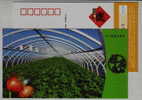 Non-pollution Vegetable Base,plastic Greenhouse,China 2010 Yanshan Industry Advertising Postal Stationery Card - Legumbres