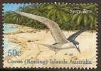 COCOS (KEELING) ISLANDS - USED 2003 50c Sooty Tern - Birds - Cocoseilanden