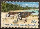 COCOS (KEELING) ISLANDS - USED 2003 50c Ruddy Turnstone - Birds - Cocoseilanden