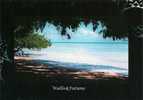 Wallis Et Futuna - CPM Neuve ** - Unused Post Card - Plage / Beach Wallis - N° 56 - Wallis-Et-Futuna