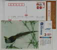Long-tailed Pheasant Bird Painting,China 2010 PICC Insurance Company Service Advertising Postal Stationery Card - Gallináceos & Faisanes