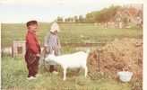 CPSM 9X14 . PAYS BAS  . COUPLE D´ENFANTS EN COSTUME FOLKLORIQUE Avec CHEVRE . Geije Voeren ( Volendam ) - Other & Unclassified