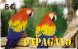 TARJETA DE ESPAÑA DE UNOS PAPAGAYOS LETRAS NEGRAS (LORO-PARROT) - Parrots