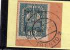 TRENTINO ALTO ADIGE 1918 SOPRASTAMPATO SURCHARGED 12 H USATO SU FRAMMENTO USED ON CHIP OBLITERE´ - Trento