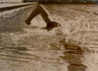 PHOTO NATATION - ETUDE PHOTOGRAPHIQUE OLYMPIQUE - GEIVERS - Nuoto