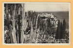 MONACO - Les Jardins Exotiques N° 143B Vue Sur Le Rocher De Monaco - Circulé 1946 - édit La Cigogne - Jardín Exótico