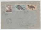 Czechoslovakia Cover Sent To Denmark Pardubice 1-12-1955 - Cartas & Documentos