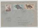 Czechoslovakia Cover Sent To Denmark Pardubice 1-12-1955 - Storia Postale