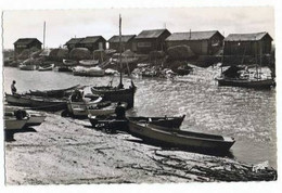 La Tremblade    Le Port Ostréicole - La Tremblade