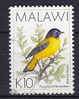 Malawi 1994  Mi. 649    10 K Bird Vogel Oiseau Starred Robin - Malawi (1964-...)