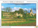 Carte Postale 17. Pont-l'abbé-d'Arnoult  Les Falaises Des Cadorettes Trés Beau Plan - Pont-l'Abbé-d'Arnoult