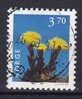 Norway 1997 Mi. 1231    3.70 Kr Einheimische Planze Hutflattich - Used Stamps