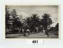 Palma Promenade De Sagrera 1953 - La Palma