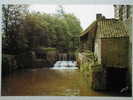 Aire Sur La Lys, Les Environs: Le Moulin De Witternesse - Aire Sur La Lys