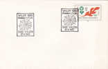 Norway 1980 Centenary Kristelige Ungdomsforbund Cover - Covers & Documents