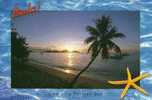 Fidji - Fiji Islands - CPM Neuve ** - Unused Post Card - TTB - Couché De Soleil - Sunset - N° 113 - Figi