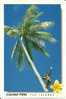 Fidji - Fiji Islands - CPM Neuve ** - Unused Post Card - TTB - Cocotier - Faune - N° PF1023 - Figi