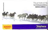 TARJETA  PREPAGO DE ESPAÑA DE TELEFONICA IBEROAMERICA  2000 PTAS (CABALLO-HORSE) - Telefonica