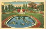 USA – United States – Lily Pond, Eastman House Gardens, Rochester N.Y. Old Unused Postcard [P3196] - Rochester