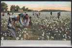 Industrie Du Cotton - CPA - Dixie Land (New Orleans Louisiane) - Picking Cotton - Sonstige & Ohne Zuordnung