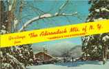 USA – United States –  Greetings From The Adirondack Mts. Of New-York, America´s Vacationland 1971 Used Postcard [P3230] - Adirondack