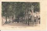 COTIGNAC  PROMENADE DU COURS VERS 1900 - Cotignac