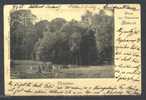 Ostseebad Ahlbeck (Germany) Postcard Posted 1901 To Nimburg, Rounded Corners - Usedom