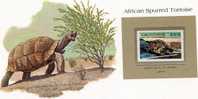 Libya 1979.Testudo Sulcata. African Spurred Tortoise. Tortue. Schildpad. WWF Presentation Card. MNH**. New! - Tortues