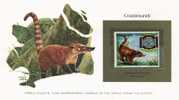 Paraguay 1982. Scouting. Coati [Nasua Socialis].Coatimundi. Neusbeer. 75 Baden Powell.WWF Presentation Card. MNH**. New! - Bears