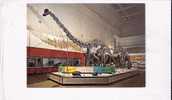 Dinosaur National Monument In Utah - Hall Of Dinosaurs - Autres & Non Classés