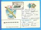 Seagull, Birds, Bird. Russia / URSS Postal Stationery Cover 1979 - Palmípedos Marinos