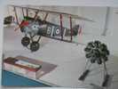 Fighter Sopwith F 1 Camel  RAF - 1914-1918: 1st War