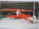 Fighter Fokker DVII 2319/18 German - 1914-1918: 1ste Wereldoorlog