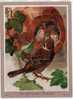 CHROMO ANCIEN GRAND FORMAT CHOCOLAT VAN HOUTEN - LE MOINEAU FRIQUET ( OISEAU ) - Van Houten