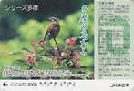 Carte Japon - OISEAU Passereau - BRUANT à Longue Queue -Song Bird Japan Prepaid JR Card  - Vogel Karte - IO 2004 - Zangvogels