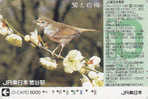 Carte Japon - OISEAU Passereau - ROSSIGNOL - Nightingale Bird Japan Prepaid JR Card  - Vogel Karte - IO 2005 - Zangvogels