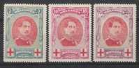 Belgie OCB 132 / 134 (*) - 1914-1915 Rode Kruis