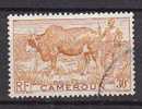 M4256 - COLONIES FRANCAISES CAMEROUN Yv N°277 - Used Stamps