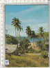 PO7381A# CARAIBI  - GUADELOUPE - POINTE A PITRE  VG 1984 - Pointe A Pitre