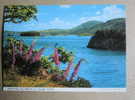 Carte Postale : Mulroy Bay, Donegal, Irlande - Donegal