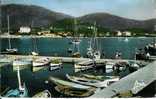 83 CAVALAIRE Le Port - Cavalaire-sur-Mer