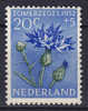 Netherlands 1952 Mi. 592     20 C + 5 C Flower Blume MH* - Ungebraucht